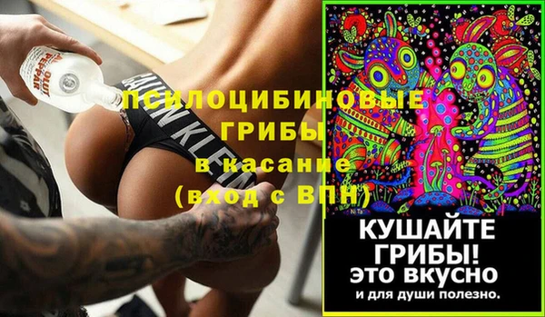 ГАЛЛЮЦИНОГЕННЫЕ ГРИБЫ Кукмор
