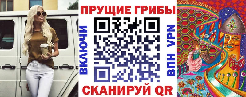 Псилоцибиновые грибы Cubensis  Сольцы 